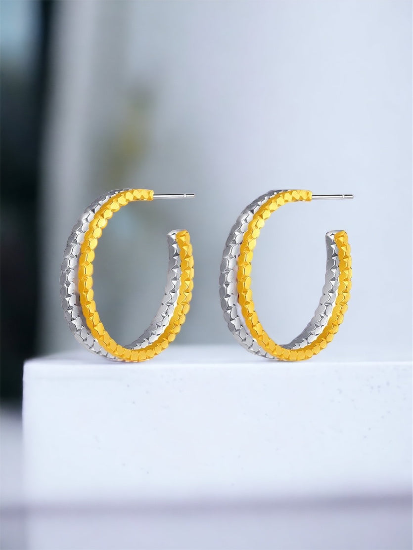 Sparkle 2 tones earring